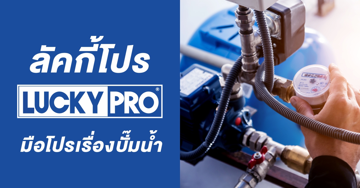 วิธีบำรุงรักษาปั๊มน้ำแบบลัคกี้โปร_1