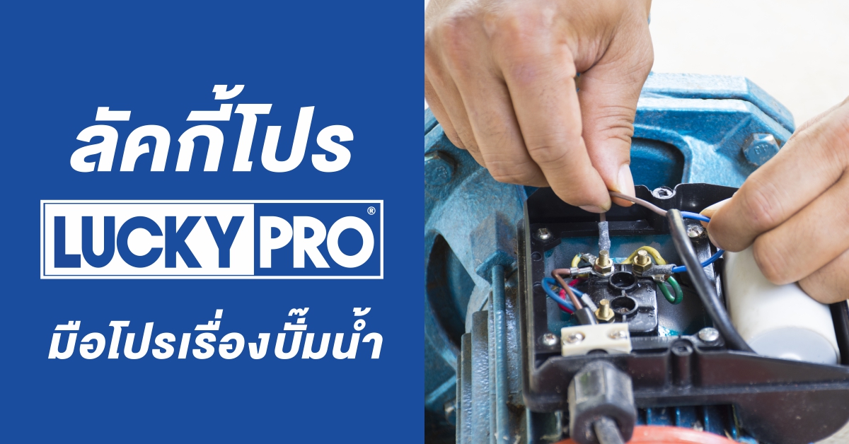 การติดตั้งปั๊มหอยโข่ง